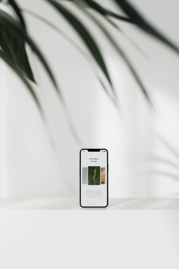 Web Design & Development in Gibraltar